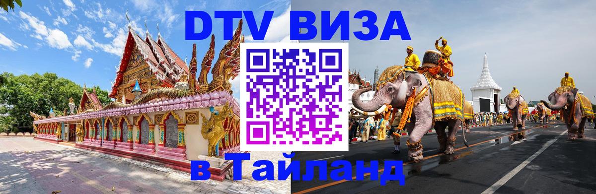 Оформление DTV визы под ключ: стоимость и тарифы, только загранпаспорт - 03.10.2025 